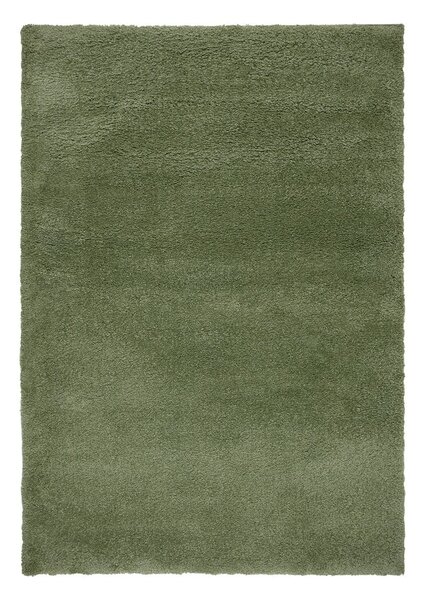 Zelena preproga 120x170 cm – Flair Rugs