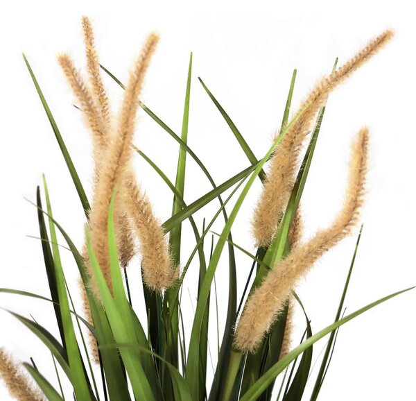 MID.YOU Umetna Rastlina Cortaderia I
