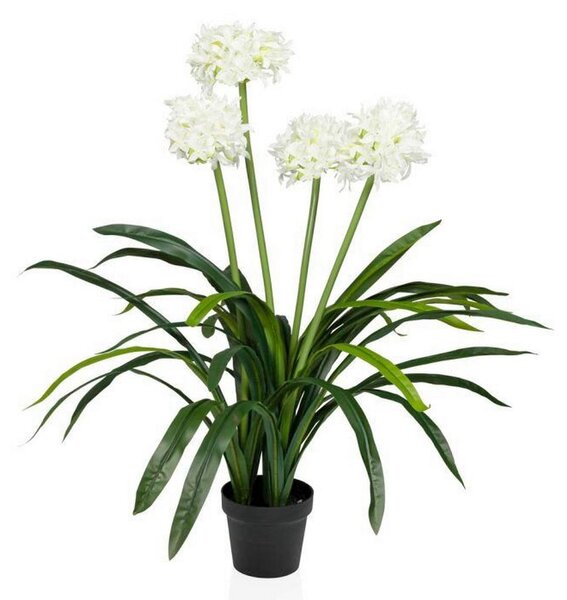 MID.YOU Umetna Rastlina Agapanthus
