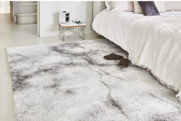 Siva preproga 120x170 cm Dream – Asiatic Carpets