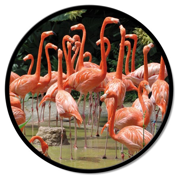 Stenska dekoracija Flamingo