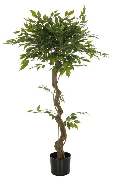 MID.YOU Umetna Rastlina Ficus I