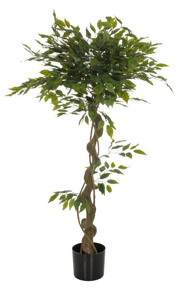 MID.YOU Umetna Rastlina Ficus I