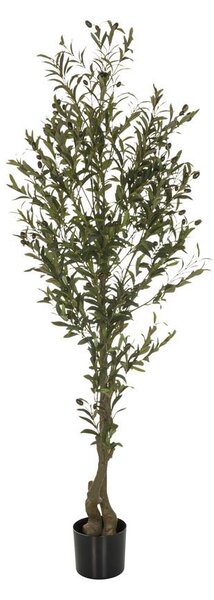 MID.YOU Umetna Rastlina Olive I