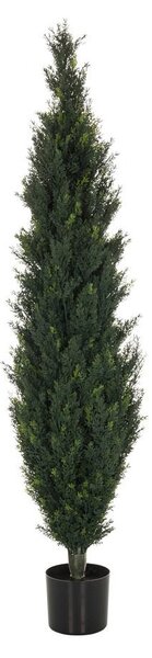 MID.YOU Umetna Rastlina Cedrus