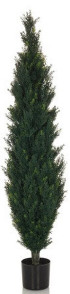 MID.YOU Umetna Rastlina Cedrus