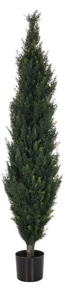 MID.YOU Umetna Rastlina Cedrus
