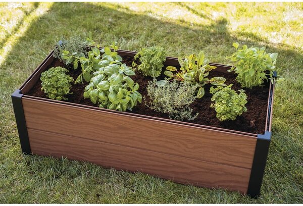Visoka greda Maple – Keter