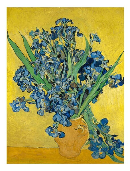 Reprodukcija slike slike Vincent van Gogh - Irises, 60 x 45 cm