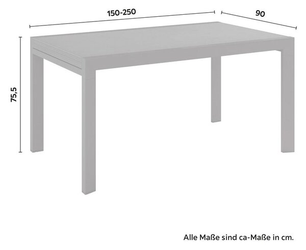 Mömax Vrtna Miza Lisa, 250x90, Antracit