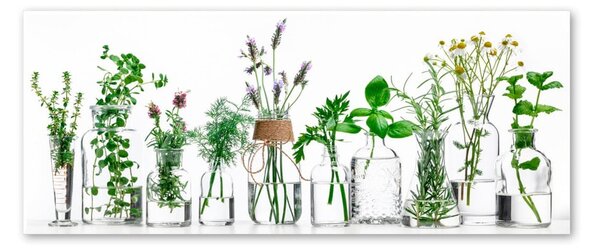 Slika Styler Glasspik Herbs, 30 x 80 cm