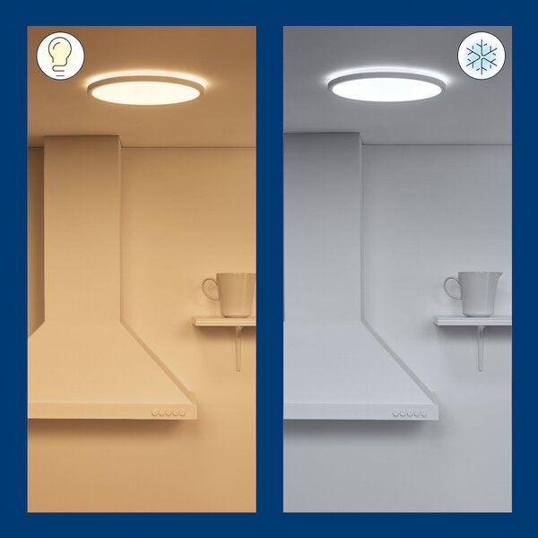 WiZ SuperSlim LED stropna svetilka CCT Ø29cm bela, zatemnjen, Bela, Dnevna soba / jedilnica, Plastika, Sodobni