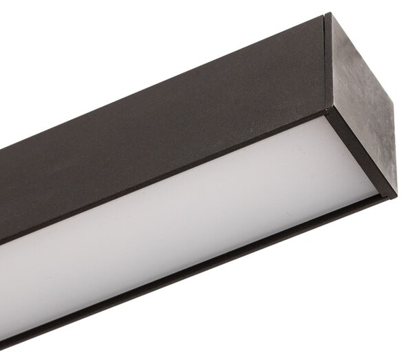 PURE LED stropna svetilka Lines, 110 cm, antracit, CCT, daljinski upravljalnik, zatemnjen, Črna, Dnevna soba / jedilnica, Kovina, Sodobni