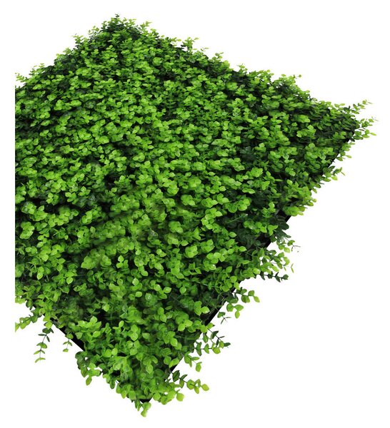 AKUSTIČNI PANEL Modular Wall System Design Flora 52/52/4 cm