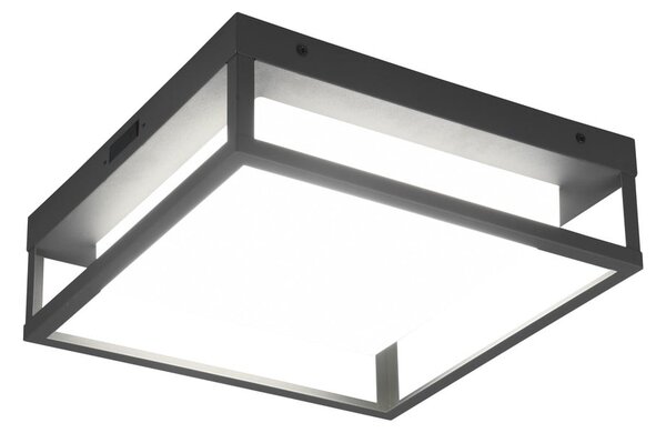 Zunanja stenska svetilka LED (višina 10 cm) Witham - Trio