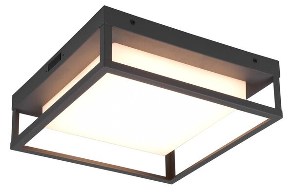 Zunanja stenska svetilka LED (višina 10 cm) Witham - Trio