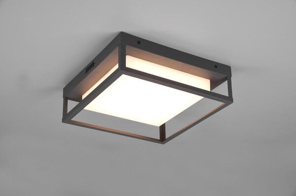 Zunanja stenska svetilka LED (višina 10 cm) Witham - Trio