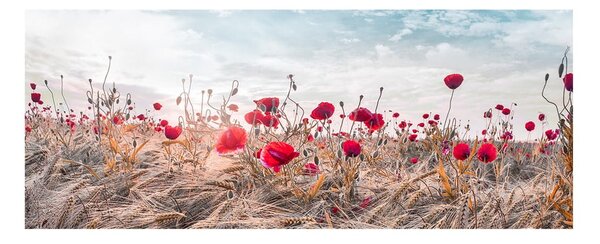 Slikarstvo na platnu Styler Poppies, 60 x 150 cm