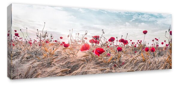 Slikarstvo na platnu Styler Poppies, 60 x 150 cm