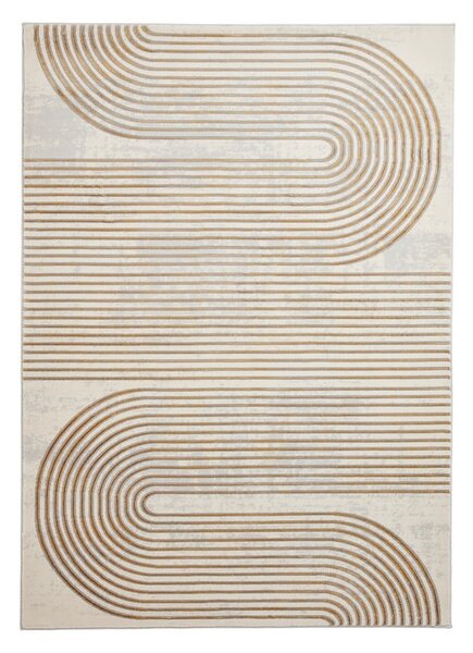 Siva/zlata preproga 170x120 cm Apollo - Think Rugs