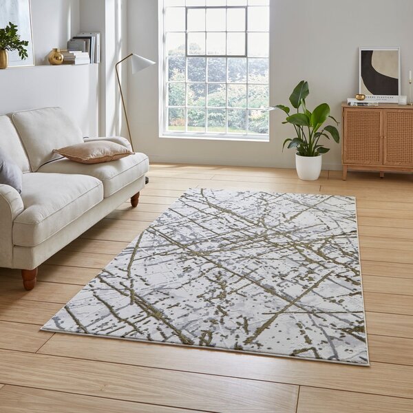 Svetlo siva/zlata preproga 80x150 cm Artemis – Think Rugs