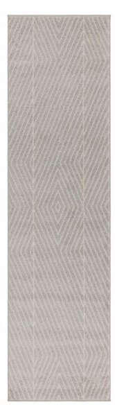 Svetlo siva preproga 66x240 cm Muse – Asiatic Carpets