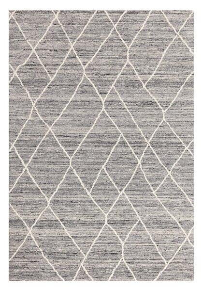 Siva volnena preproga 160x230 cm Noah – Asiatic Carpets