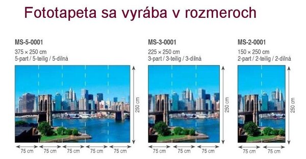 Fototapeta nočni New York