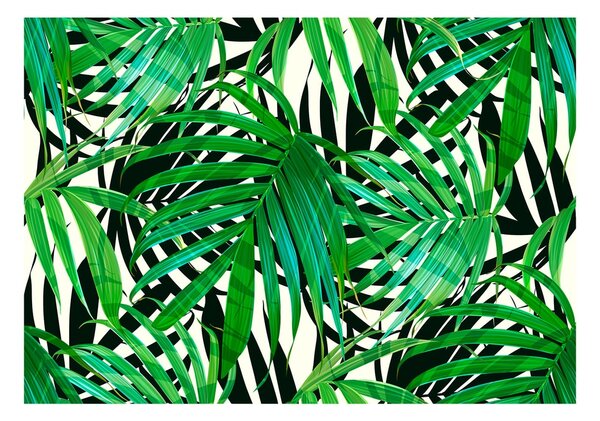 Fototapeta - Tropical Leaves