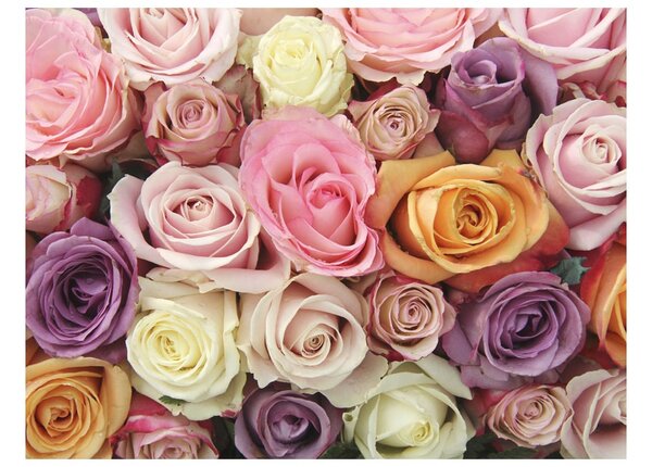 Fototapeta - Pastel roses