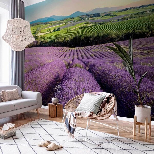 Artgeist Fototapeta Lavender Field, 100x70cm