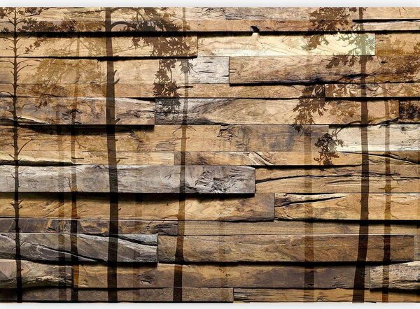 Artgeist Fototapeta Shadow Of Trees, 150x105cm