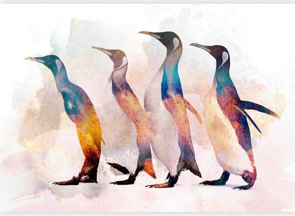 Artgeist Fototapeta Penguin Wandering, 150x105cm