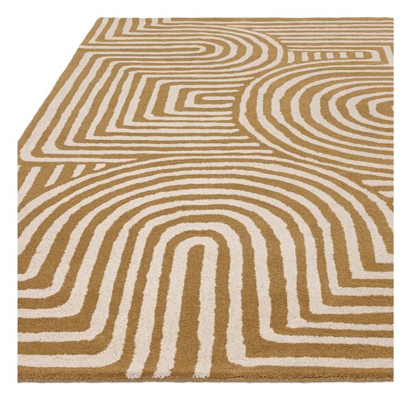 Oker rumena volnena preproga 120x170 cm Reef – Asiatic Carpets