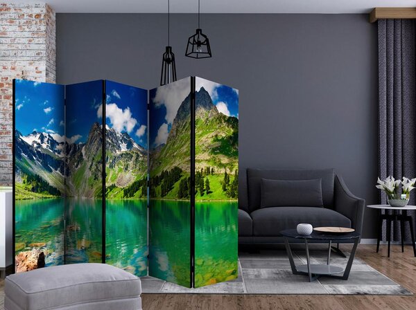 Artgeist Paravan Mountain Lake I, 5-Delni, Enostranski
