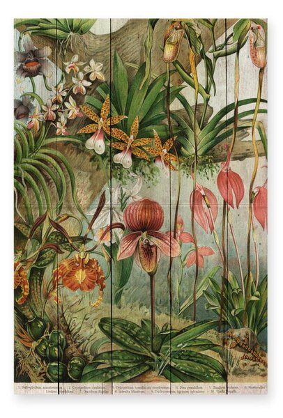 Stenska dekoracija iz borovega lesa Madre Selva Jungle Flowers, 60 x 40 cm