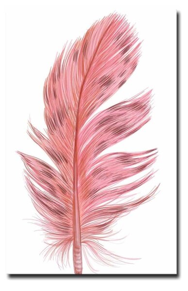 Slika 45x70 cm Feather – Wallity