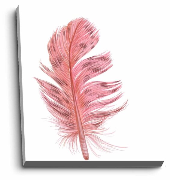 Slika 45x70 cm Feather – Wallity