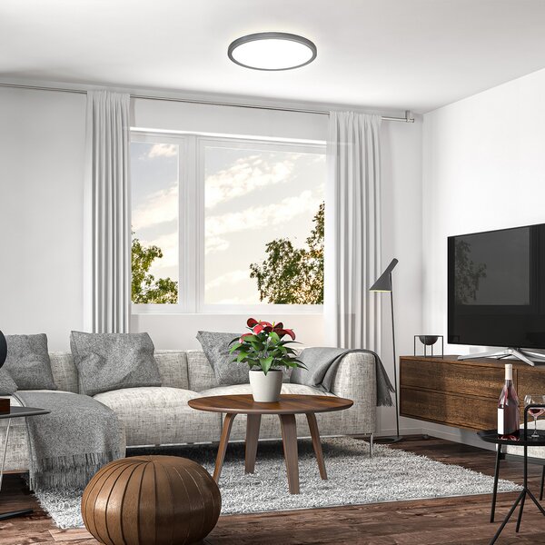 B.K. Licht LED-panel Slim Remote RGBW, Ø 29 cm, črn, osvetlitev ozadja, zatemnjen, Črna, Študija / pisarna, Plastika