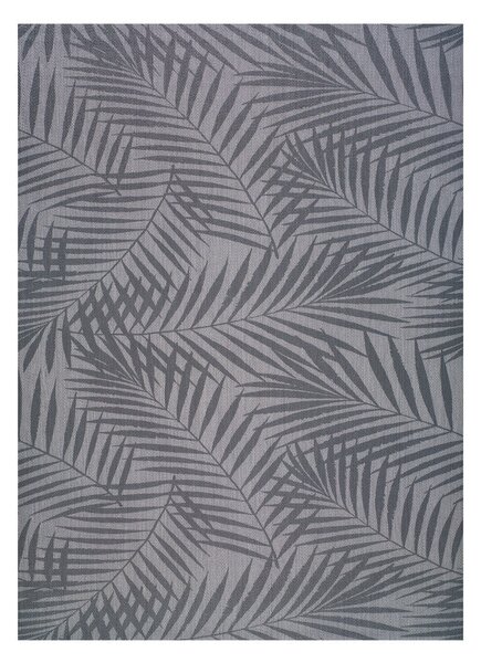 Siva zunanja preproga Universal Palm, 160 x 230 cm