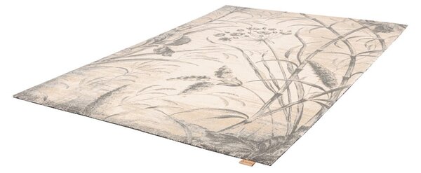 Kremno bela volnena preproga 300x400 cm Botany – Agnella