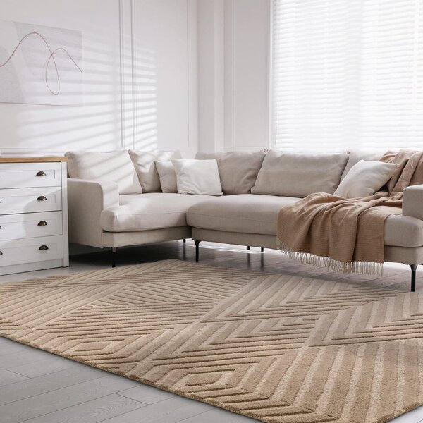 Svetlo rjava volnena preproga 120x170 cm Hague – Asiatic Carpets