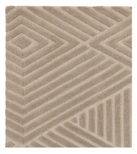 Svetlo rjava volnena preproga 120x170 cm Hague – Asiatic Carpets