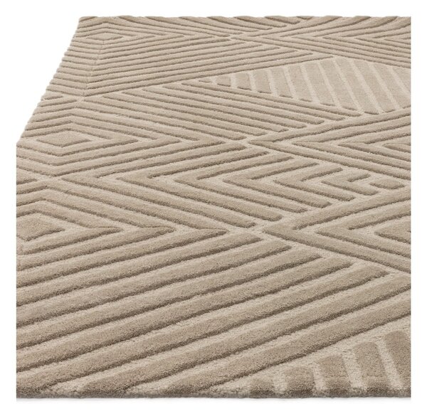 Svetlo rjava volnena preproga 120x170 cm Hague – Asiatic Carpets
