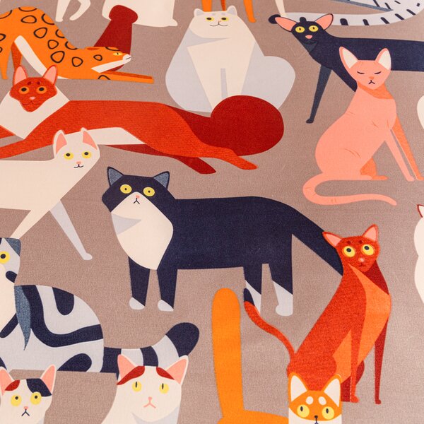 Posteljnina iz mikrovlaken CATMOSPHERE barvna Dimenzije posteljnine: 2 kom 70 x 90 cm | 200 x 220 cm
