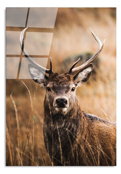 Steklena slika 70x100 cm Deer – Wallity