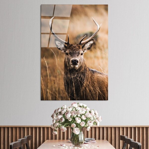 Steklena slika 70x100 cm Deer – Wallity