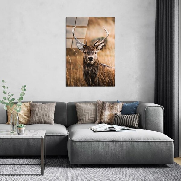 Steklena slika 70x100 cm Deer – Wallity