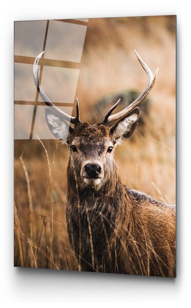 Steklena slika 70x100 cm Deer – Wallity