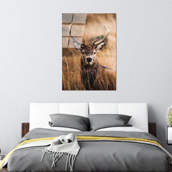 Steklena slika 70x100 cm Deer – Wallity